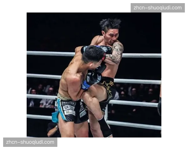 “王子”帕特尔KO对手，赢得洲际金腰带
